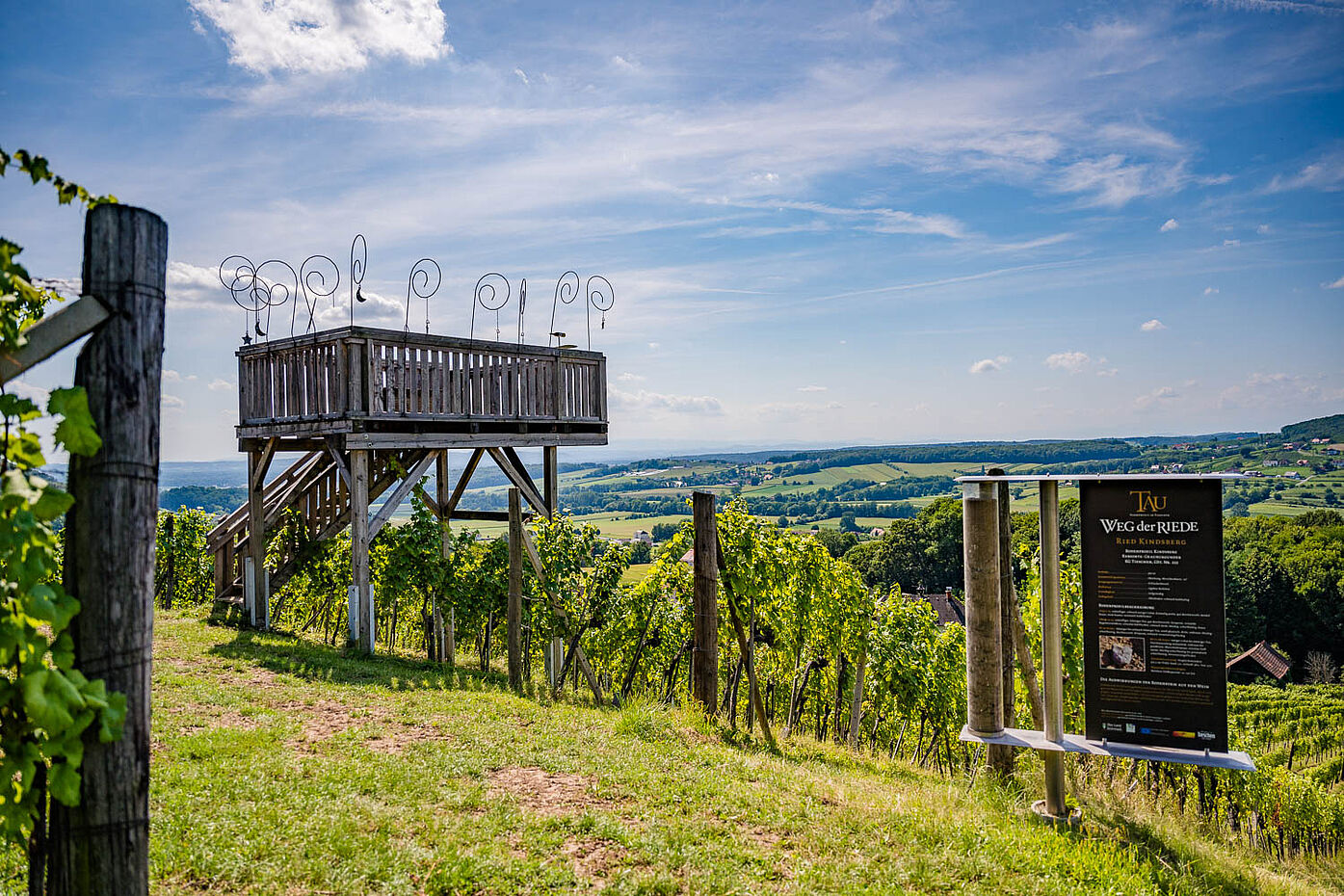 Aussichtsplattform am Weinberg