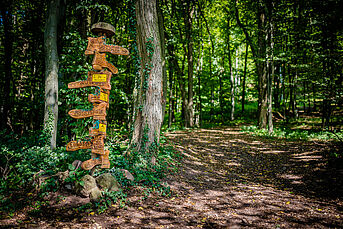 Waldweg mit Wegweiser