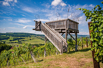 Aussichtsplattform mit Weinberg