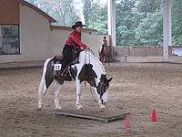 Westernreiter
